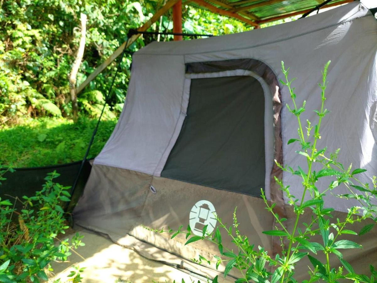 Rustico Arenal B&B La Fortuna Exterior photo