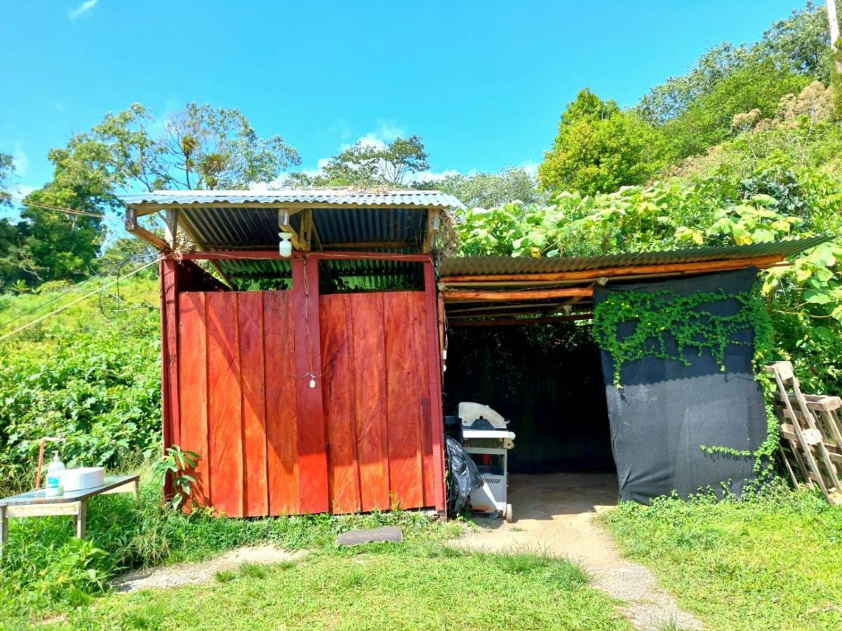 Rustico Arenal B&B La Fortuna Exterior photo